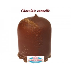 BOULE MOUSSE CANNELLE REF 608
