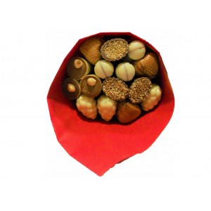 BOUQUET DE CHOCOLATS ARTISANAUX 15 PRALINES.